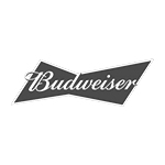 CUSTOMERSBUD